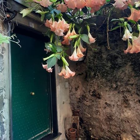 شقة Giuggiolhouse جنوة المظهر الخارجي الصورة